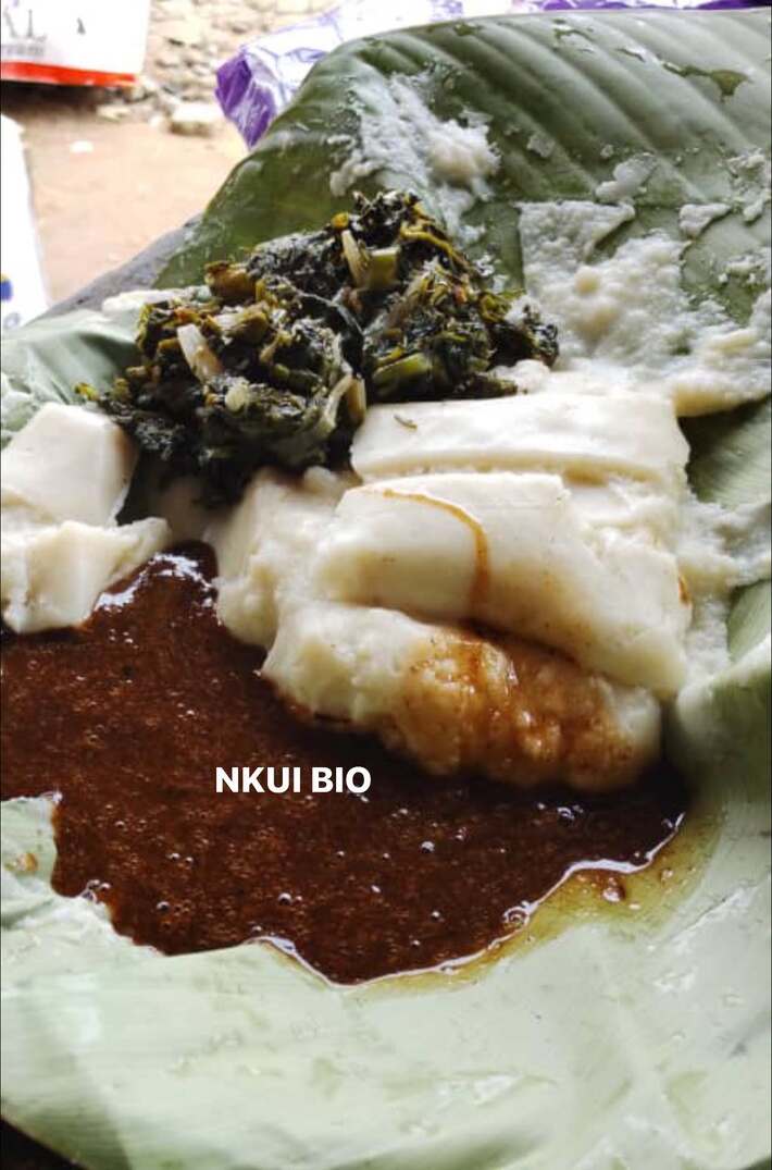 Nkui Bio